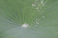 2006_06_0346 