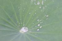 2006_06_0347 