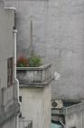 2006_06_0485