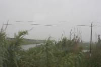 2006_06_1033