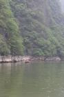 2006_06_2256