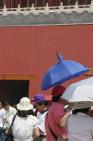 2006_06_2778 