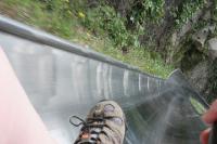 2006_06_3659