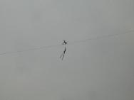 CIMG1726